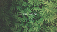 Hemp Hemp Hooray!