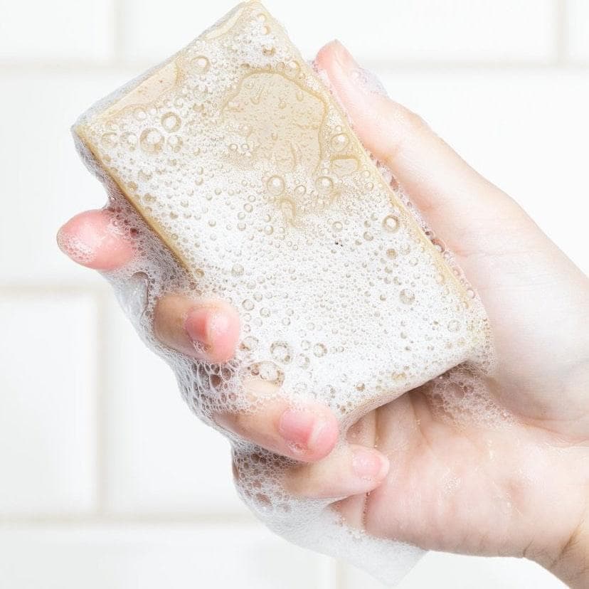 Chaga Bar Soap